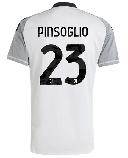 Juventus Trikots Shop – juventus drittes torwarttrikot 202425 – 23 – pinsoglio Trikots und mehr entdecken